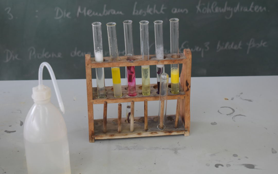 Chemie stimmt auch in der Krise (März 2020)